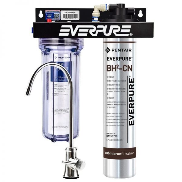 Pentair Everpure BH2-CN Water Filter Cartridge